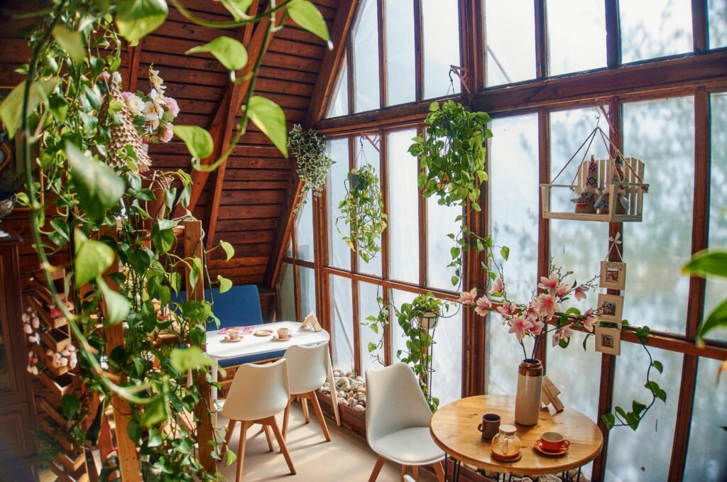 Indoor plants placed near a sunlit window for maximum winter light