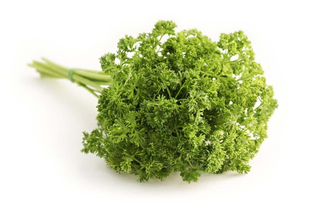 parsley indoor herb