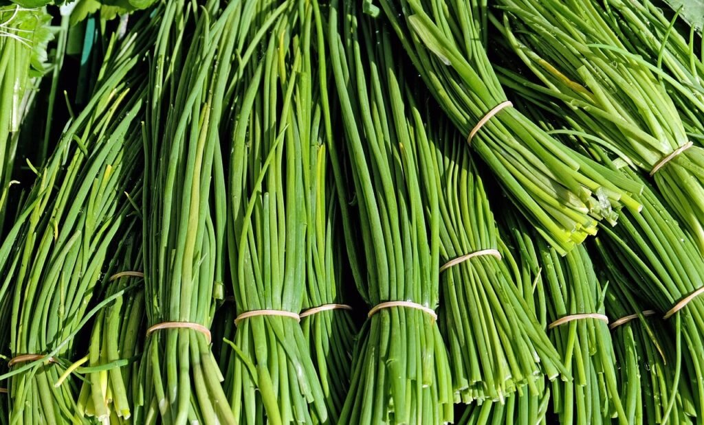 chives indoor herbs