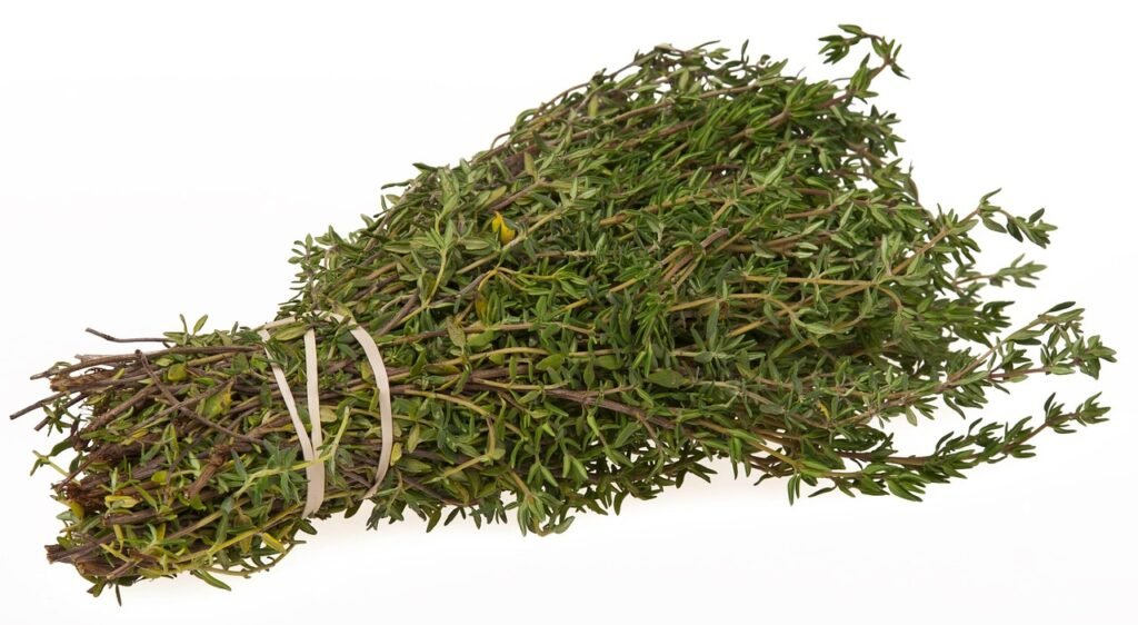 vegetables, vitamins, diet, food, eat, cooking, ingredients, healthy, thyme, bundle, thyme, thyme, thyme, thyme, thyme