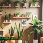 Top indoor plants for small apartments arranged in a cozy living room with natural light, showcasing space-saving, easy-care options.