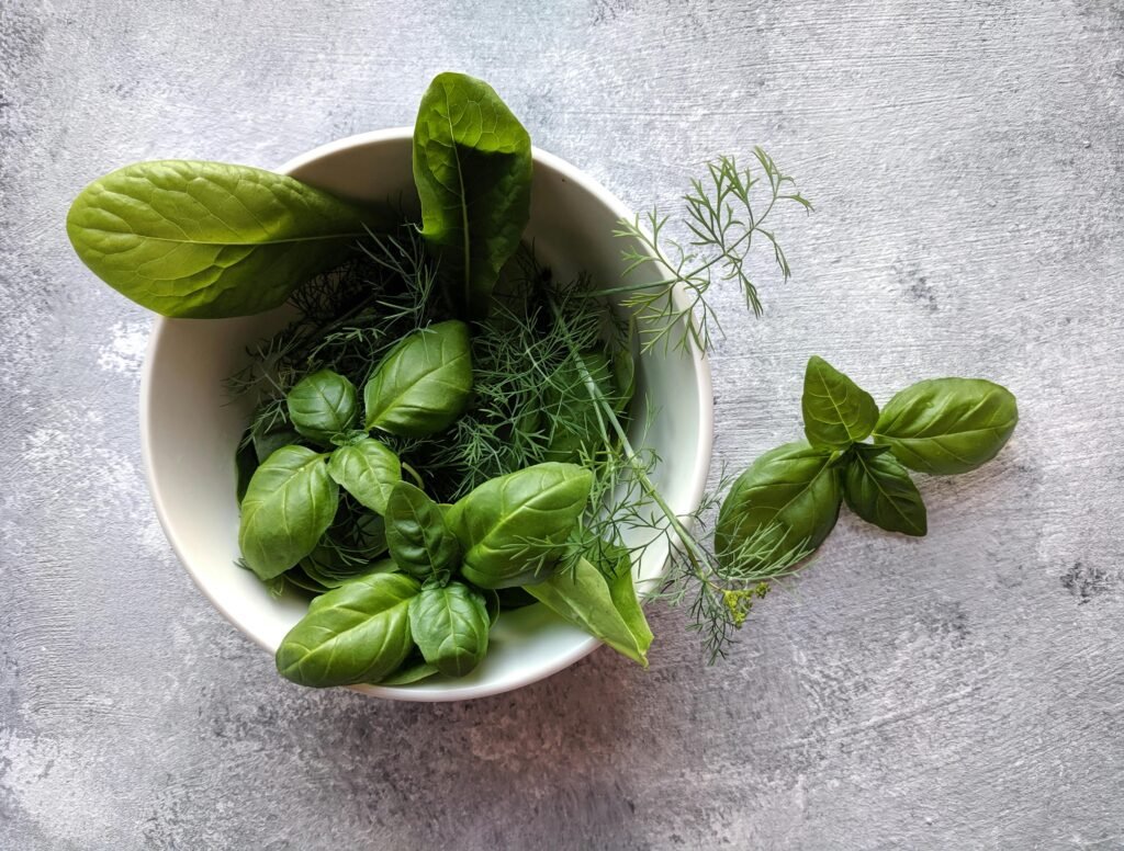 perfect indoor herbs for beginners