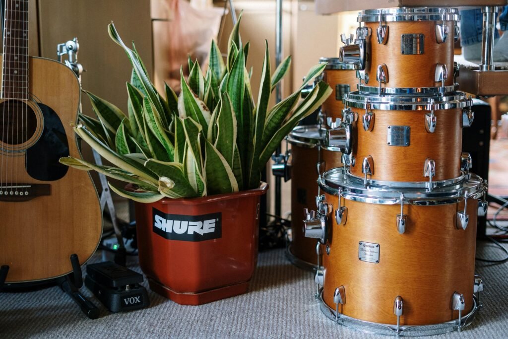 Cozy home studio featuring a drum set, acoustic guitar, and a lush snake plant for a creative musical environment.