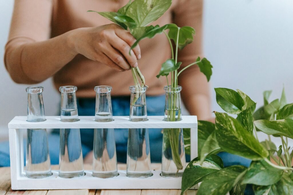 Choose the Right Container for Water Propagation