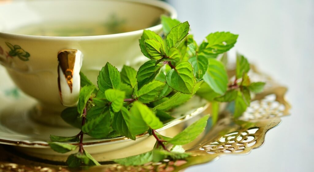 mint leaves tea