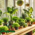 how to grow an indoor vegetable garden