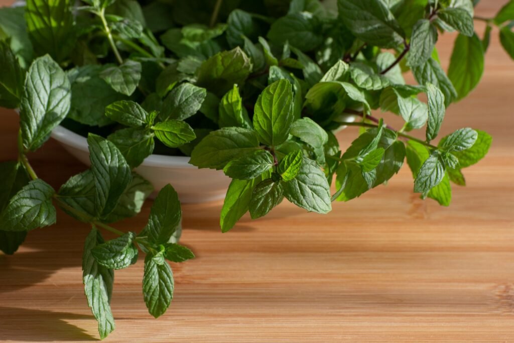 close up of fresh mint leaves