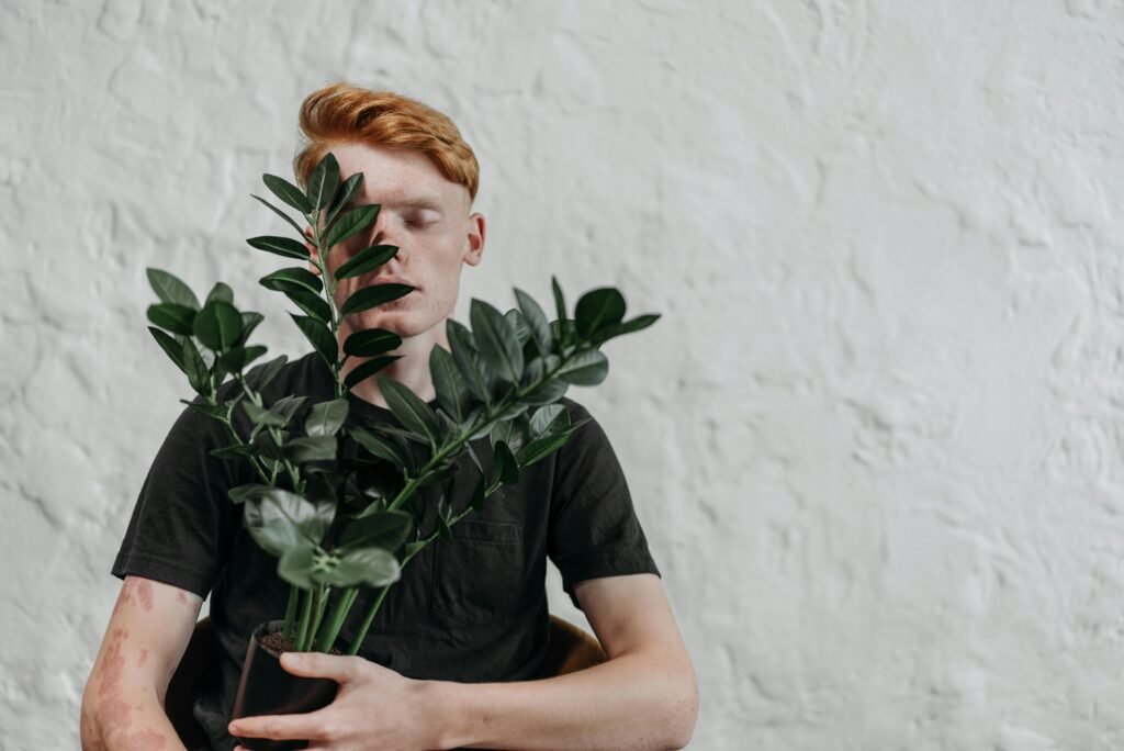 zz plant indoor